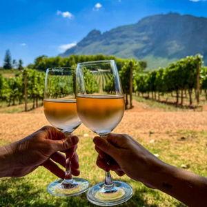 South African Wine Tasting