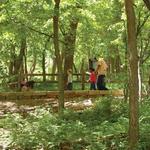 Martin Park Nature Center