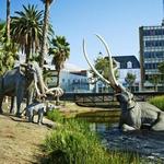 La Brea Tar Pits and Museum