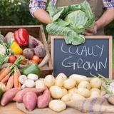 Bellingham Farmers Market