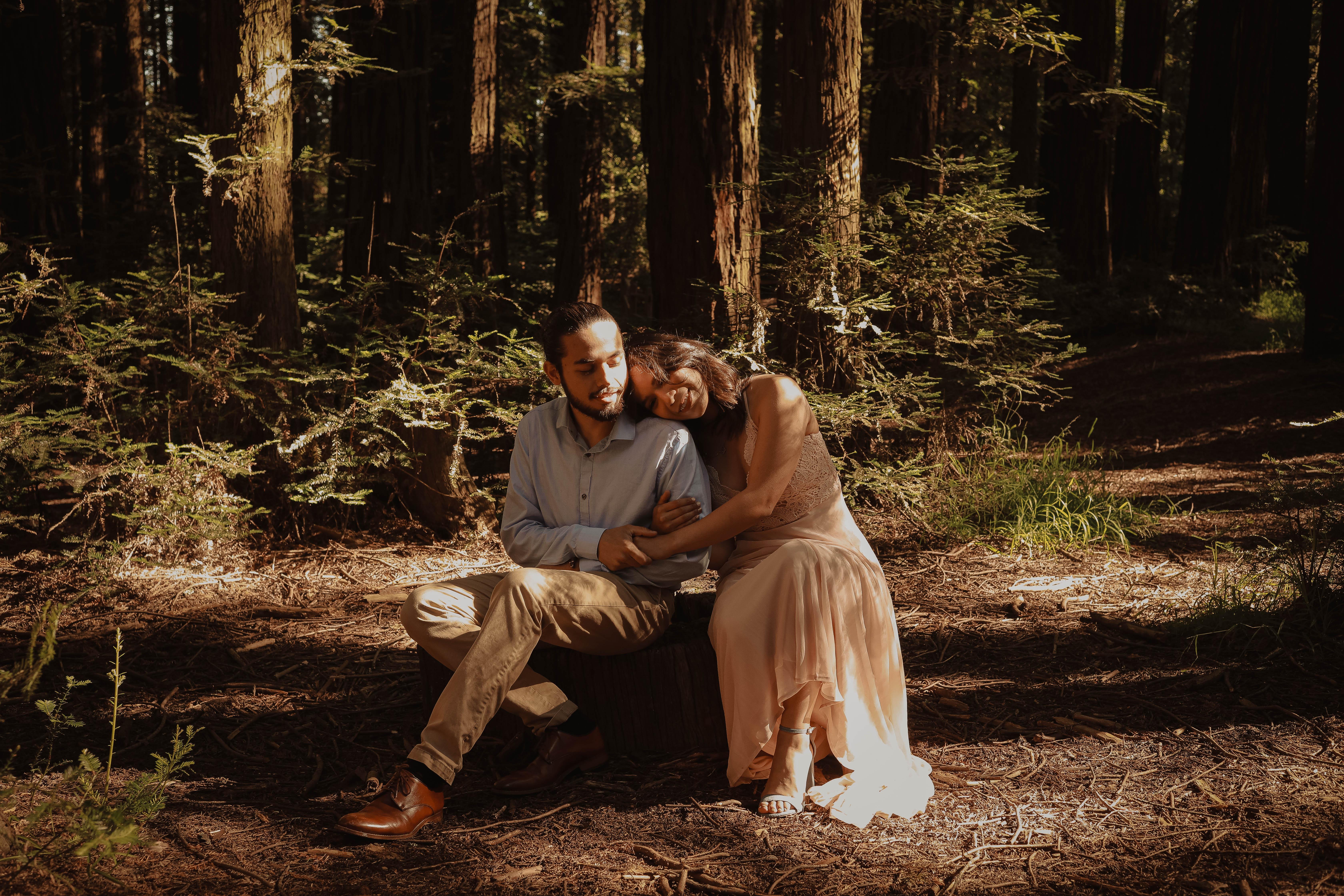 5dddd564-a990-4279-b776-dcca70135506