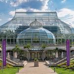 Phipps Conservatory and Botanical Gardens