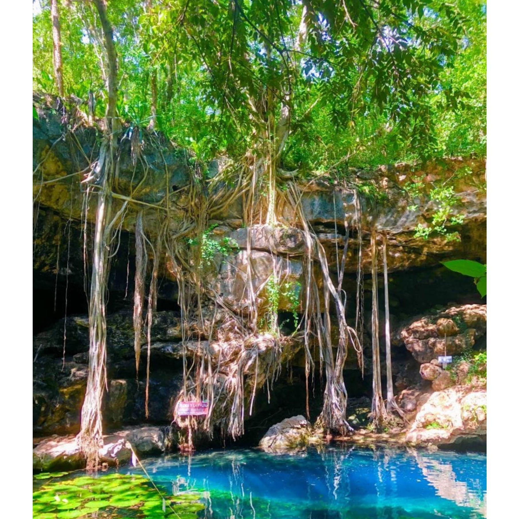 Cenote X’Batun