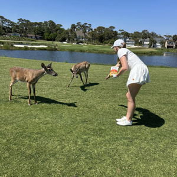 Honeymoon Adventure: 19th Hole Dinner