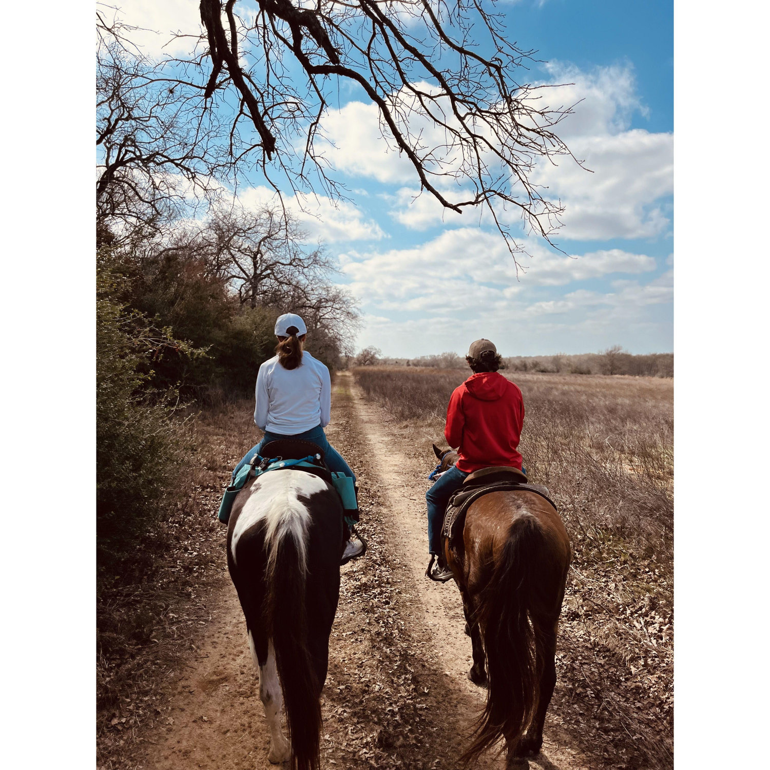 Justin's First Horse Ride! (Justin is now fully convinced we too, should have a horse :)