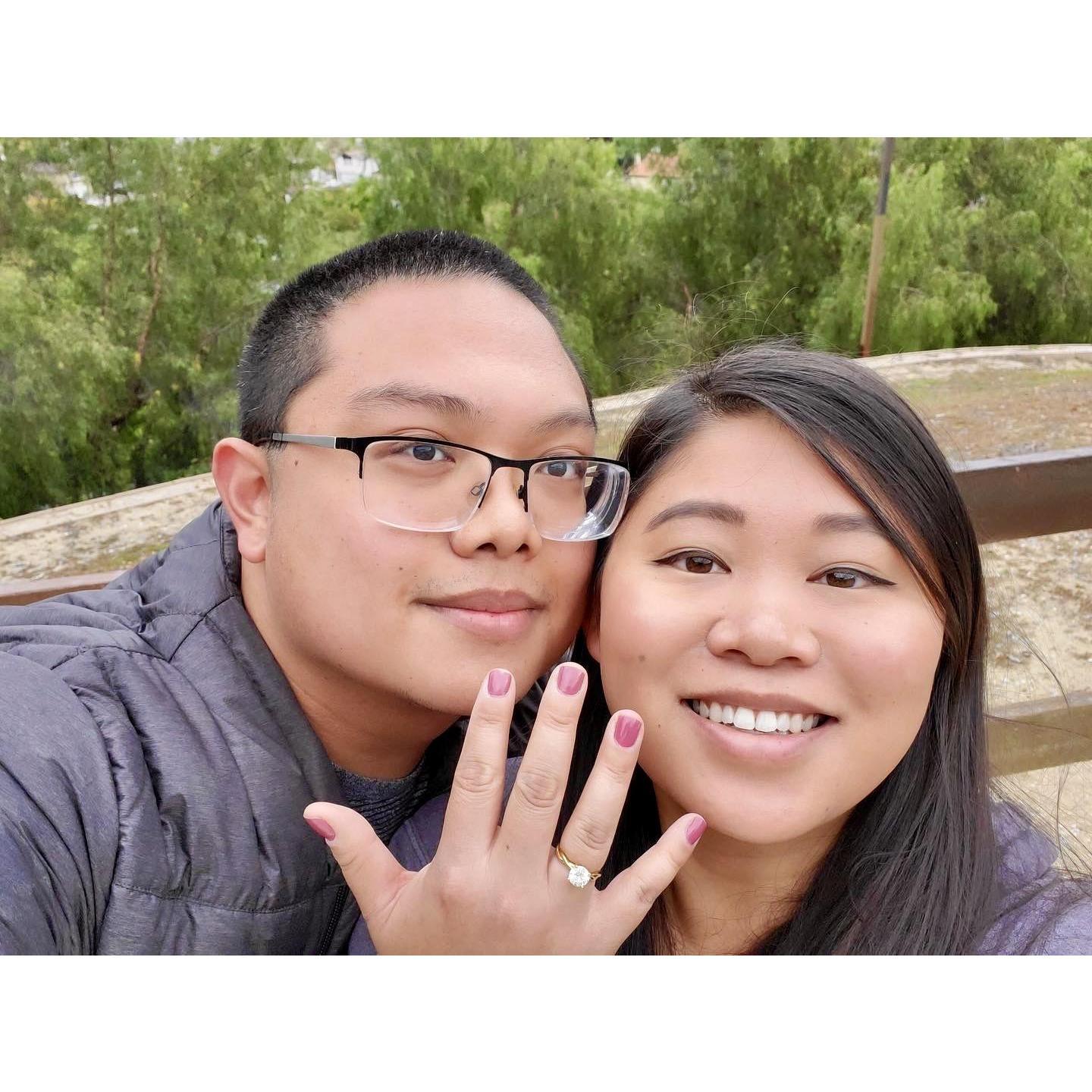 The day Jan proposed