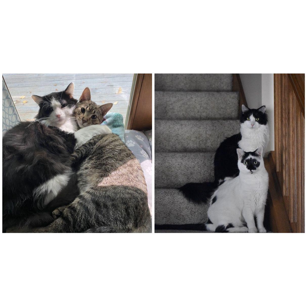 The Kiddos <3