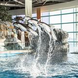 Shedd Aquarium