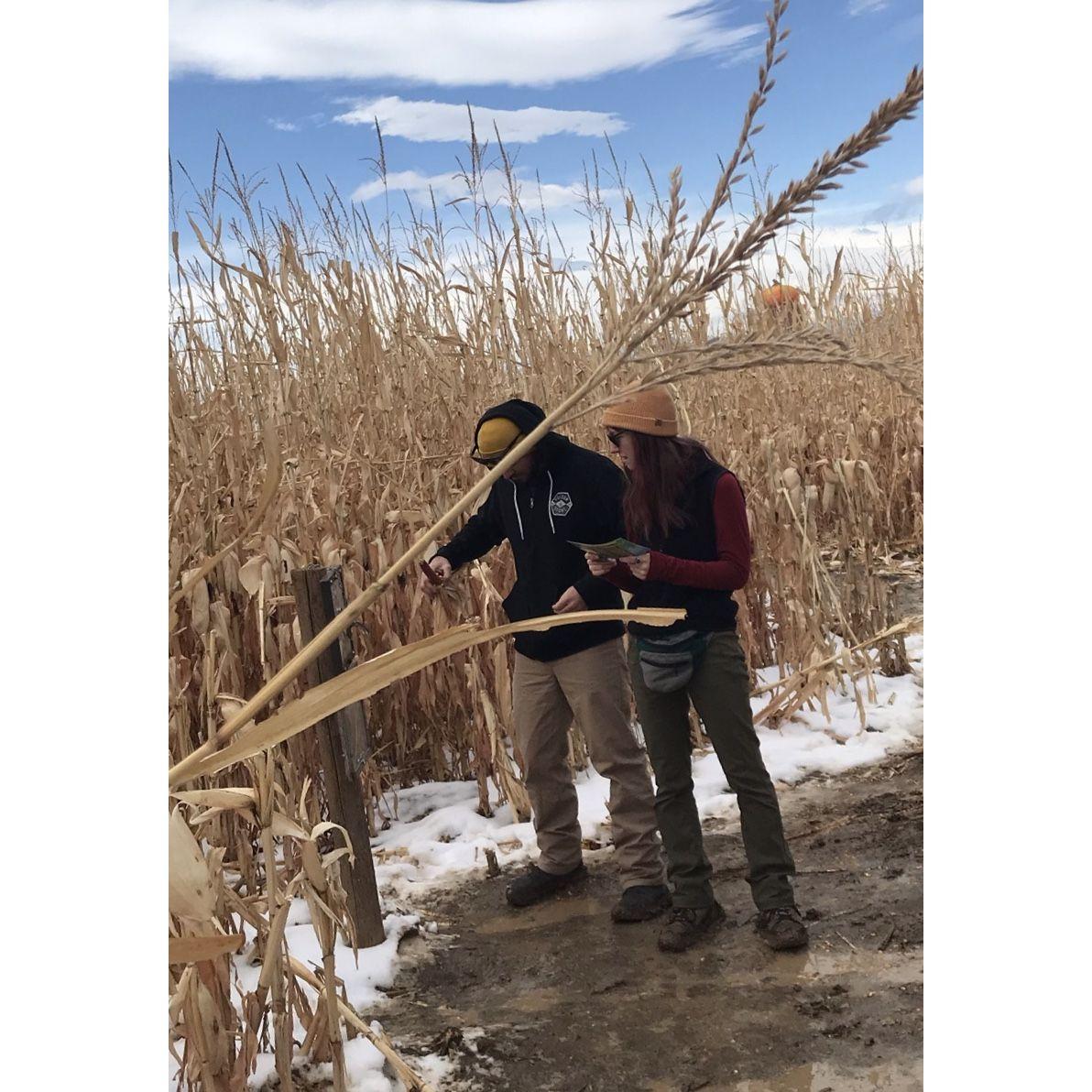 One of our first outtings together to a corn maze