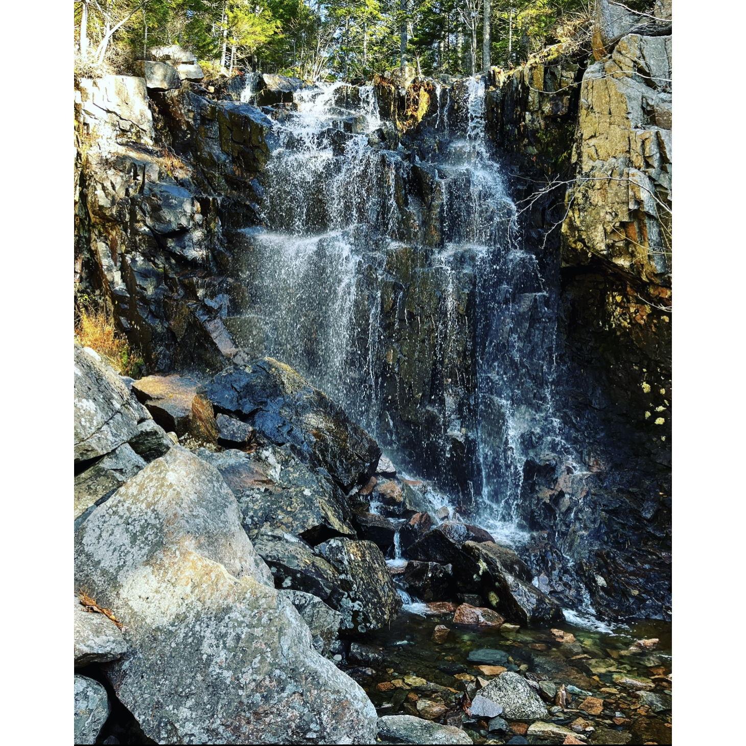 Hadlock falls. The place Virinder proposed on Oct 28, 2022.