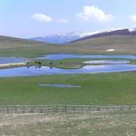 Safari of the Accumuli Marshes / Escursione ai Pantani di Accumuli