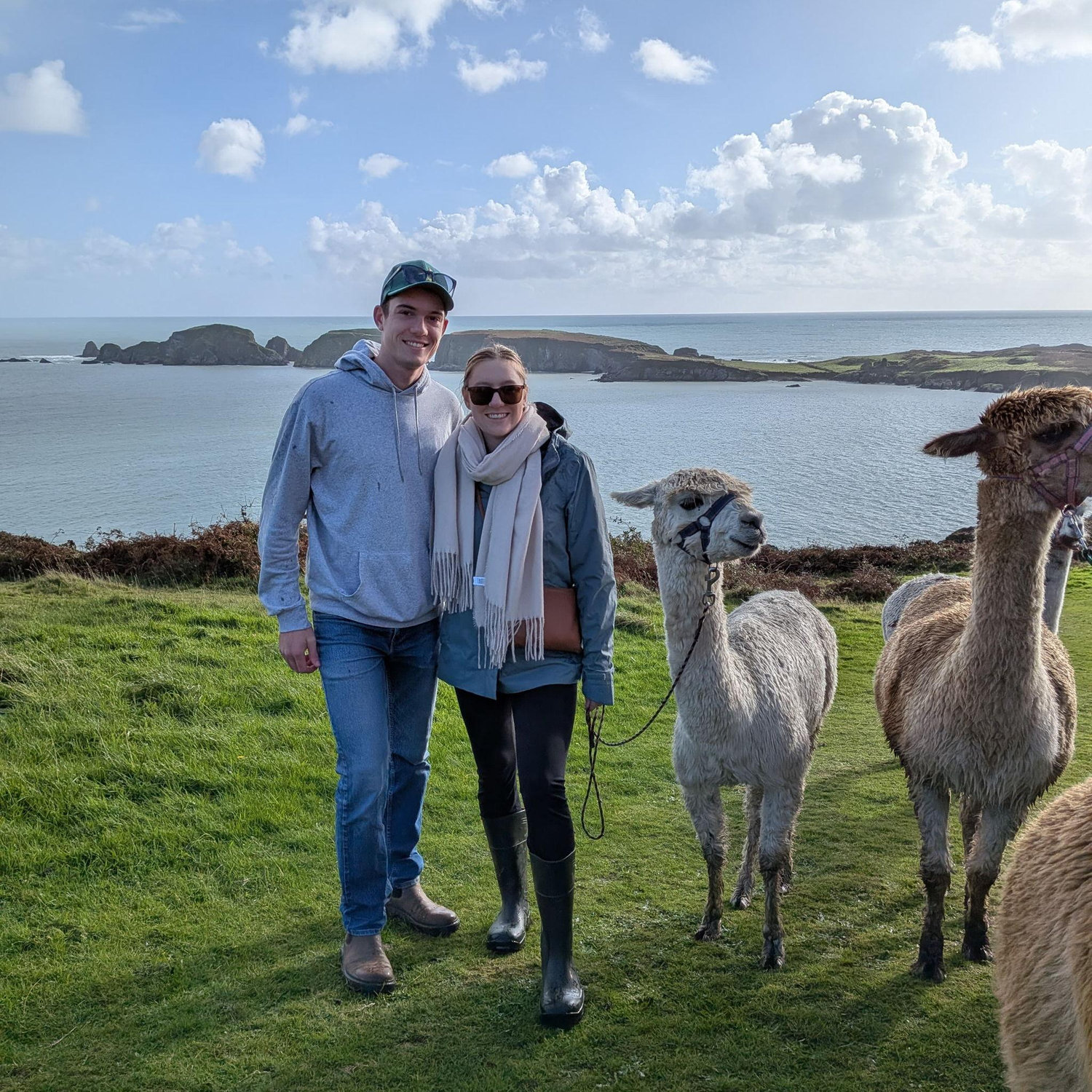 Alpaca walking , Arleen's fav!