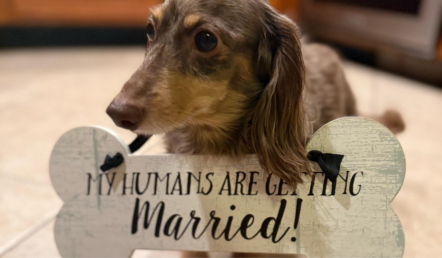 The Wedding Website of Teresa Bassolino and Jordan Perez