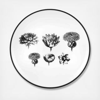Christian Lacroix - Herbariae Bread & Butter Plate, Set of 4