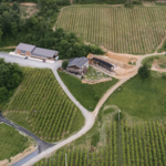 Bluemont Vineyard
