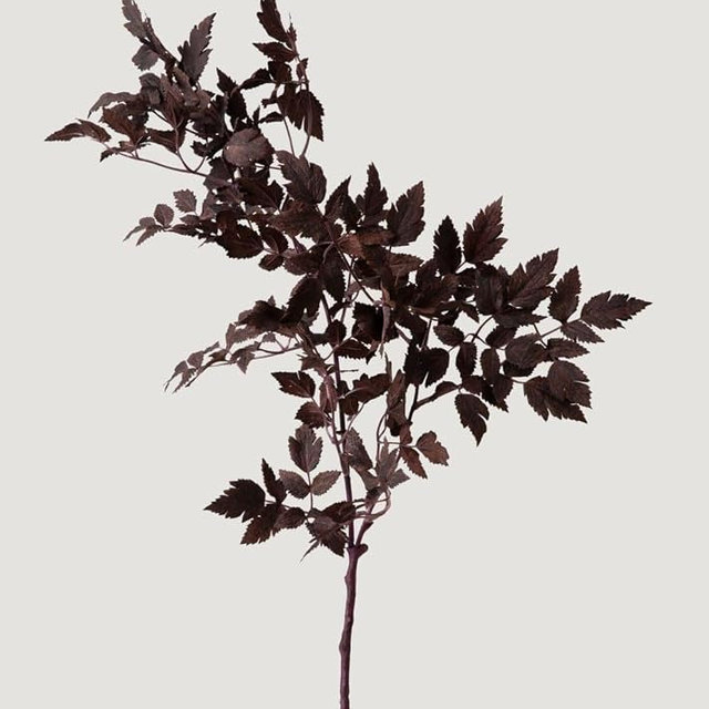 Afloral Sale Fake Plants | New Plum Artificial Cimicifuga Plant Leaf Spray - 31"