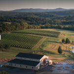 Stone Tower Winery