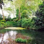 Jardín Botánico