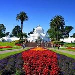 Golden Gate Park
