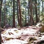 Disc Park