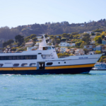 Take the Ferry to Sausalito