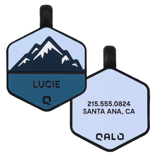 Frost Mountain Silicone Dog ID Tag