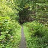 Local Hikes