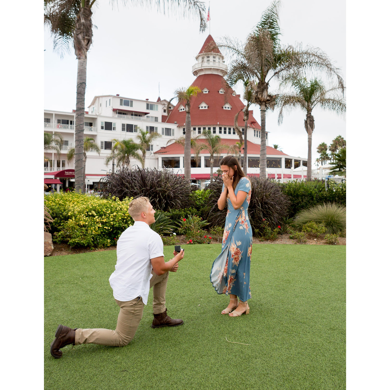 The proposal