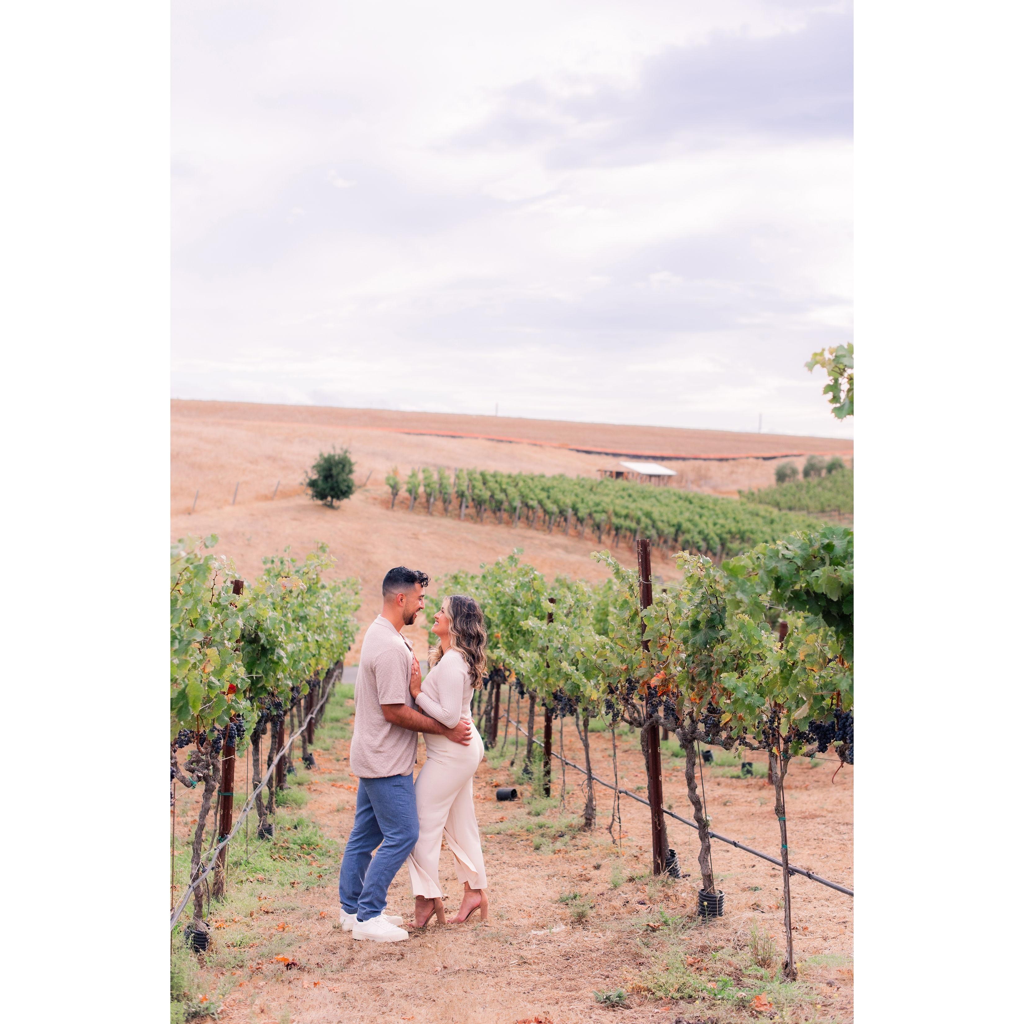 Weekend of my dreams - Napa