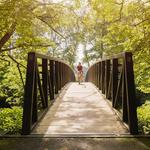Stowe Bike Path