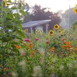 GardenView Flowers