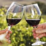 Urban Wine Trail