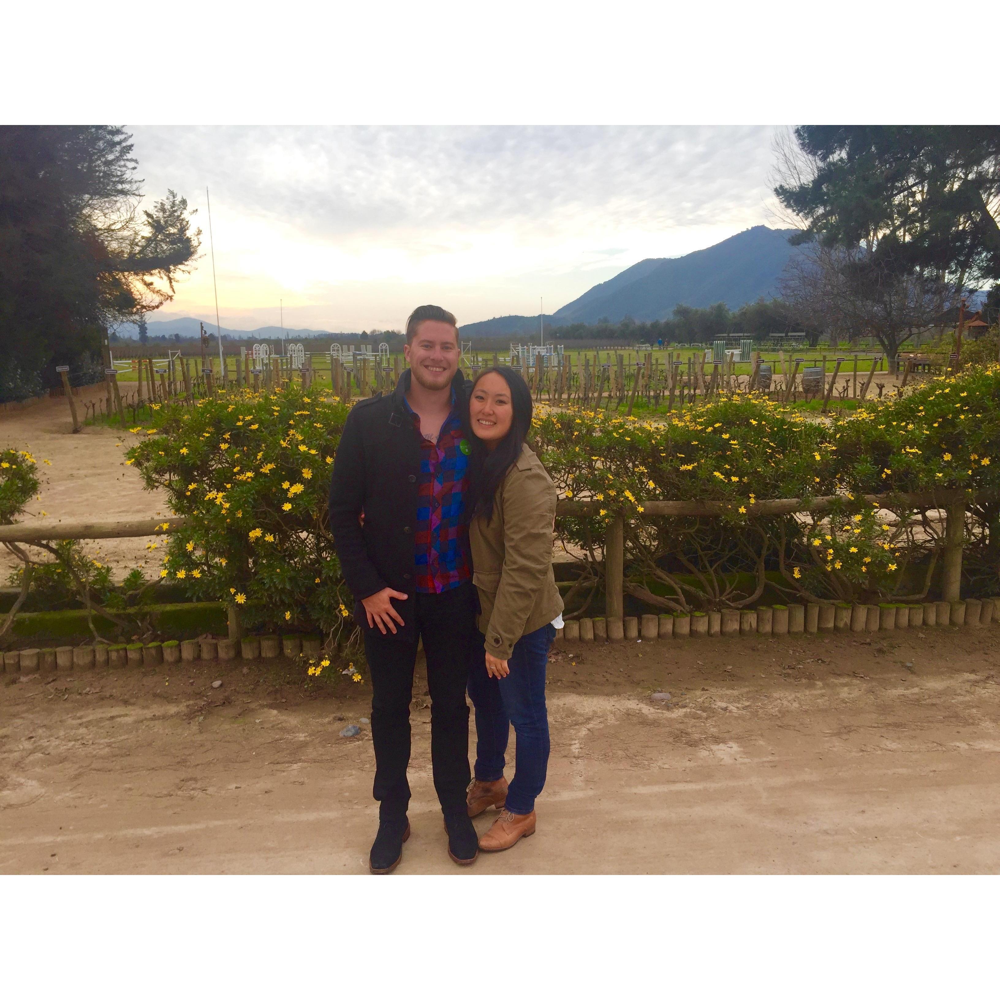Summer 2016 in Chilean vineyards