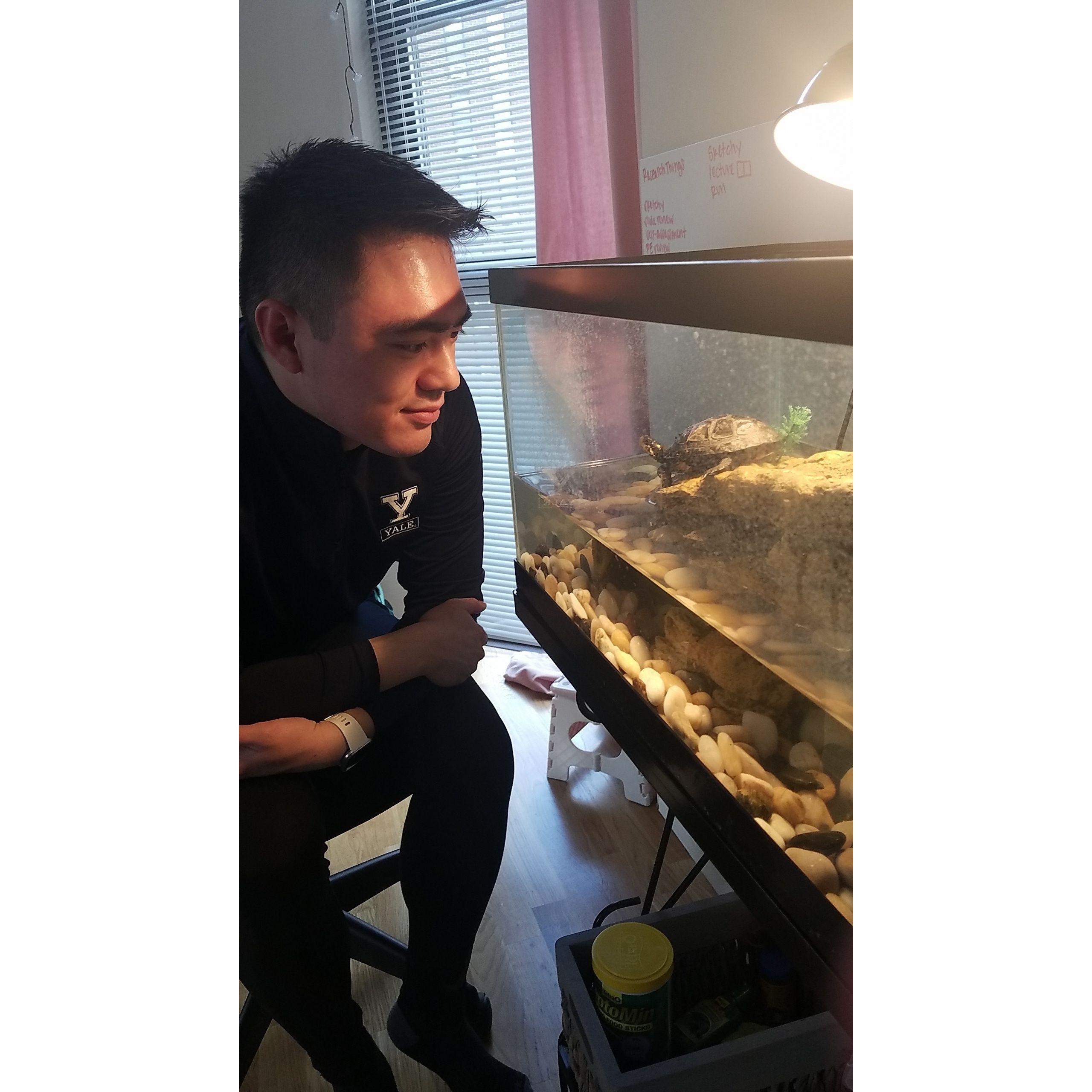 Just a turtle (right) and a very handsome man <3