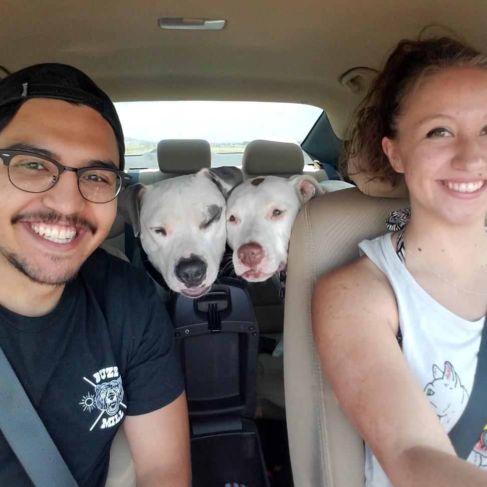 Road trips with the pups <3