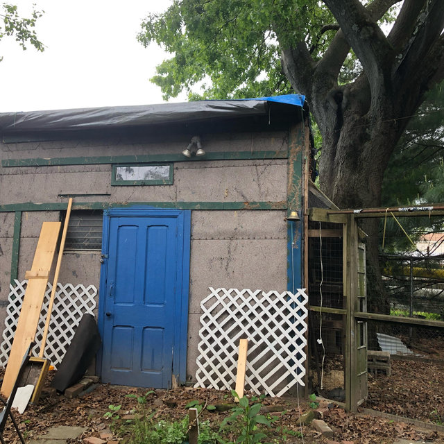 Backyard barn/shed!