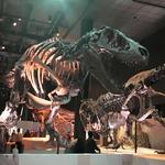Houston Museum of Natural Science