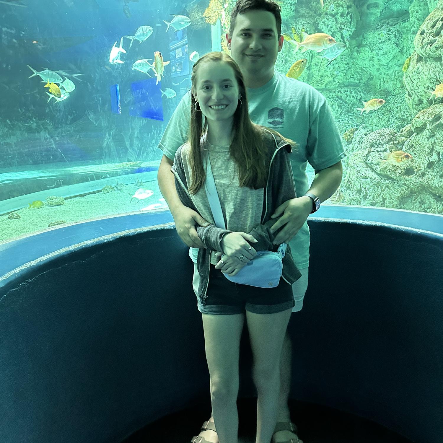 Texas State Aquarium in Corpus Christi for a fun weekend trip to the beach!