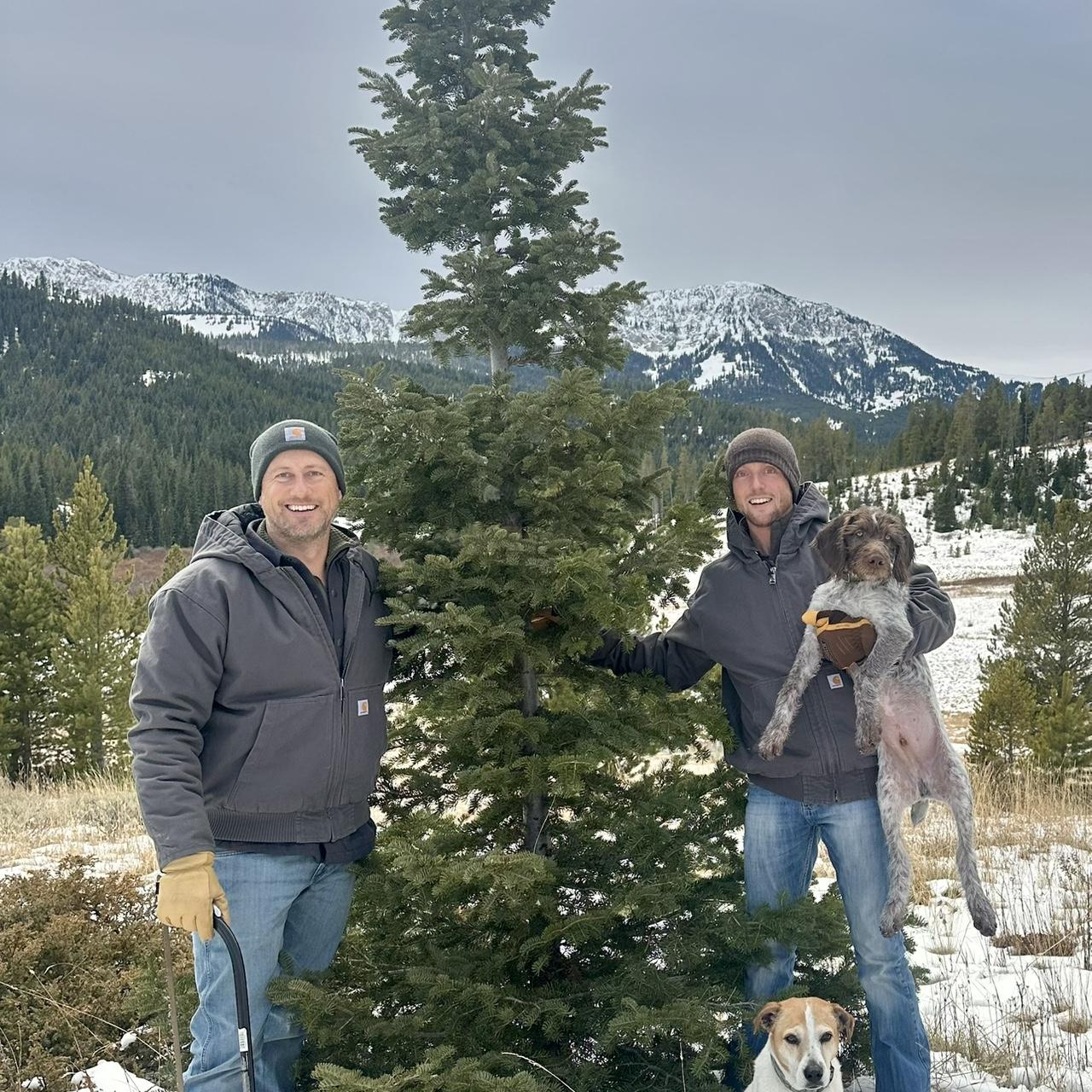 Christmas tree hunting in the Bridgers- 2024