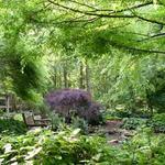 Botanical Gardens