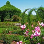 Elizabeth Park Rose Garden