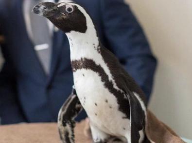 The Wedding Website of Laura Sbailo and James Ryan Hess