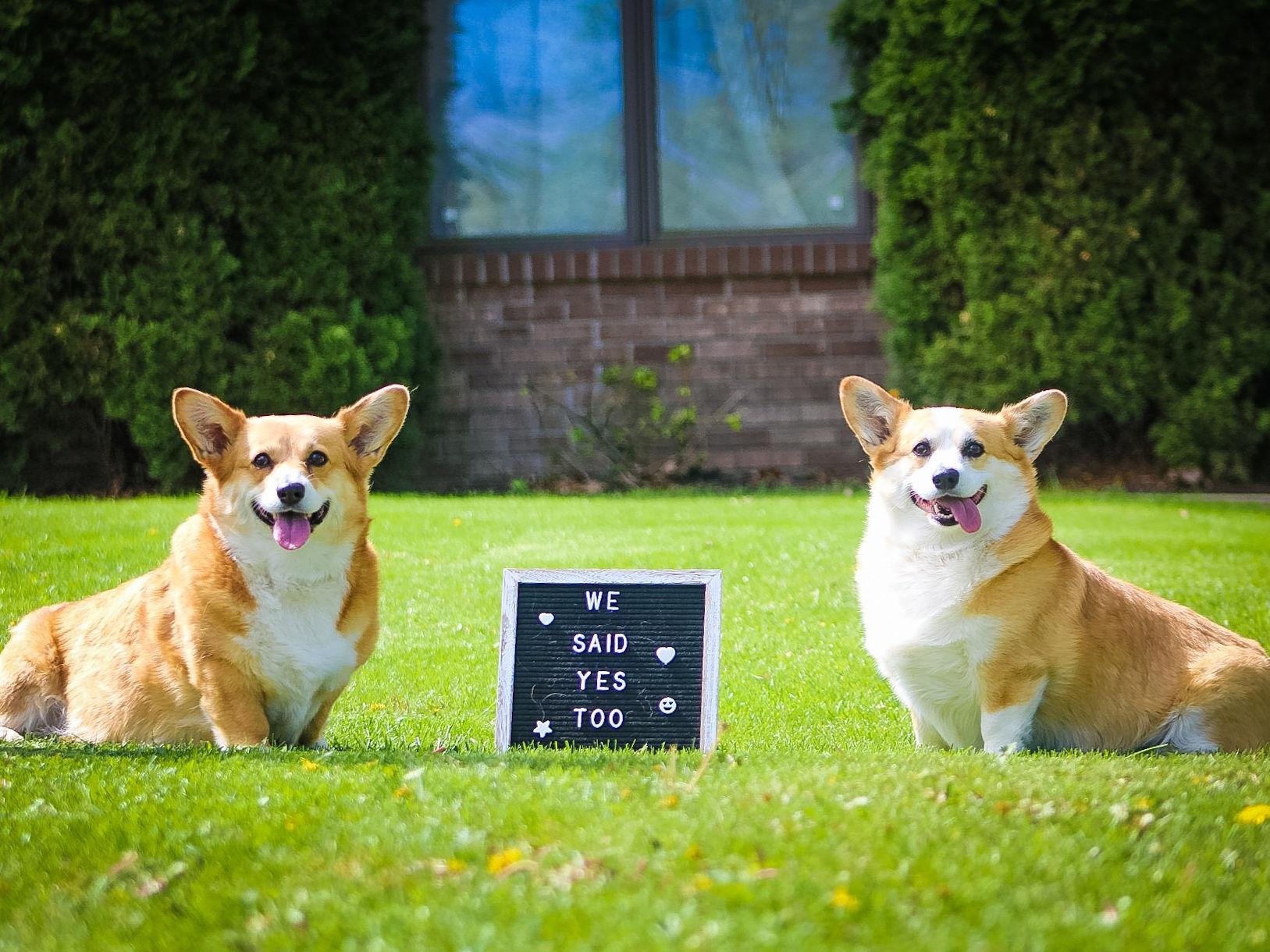 The Wedding Website of Andrea Gonzalez and Todd Davison