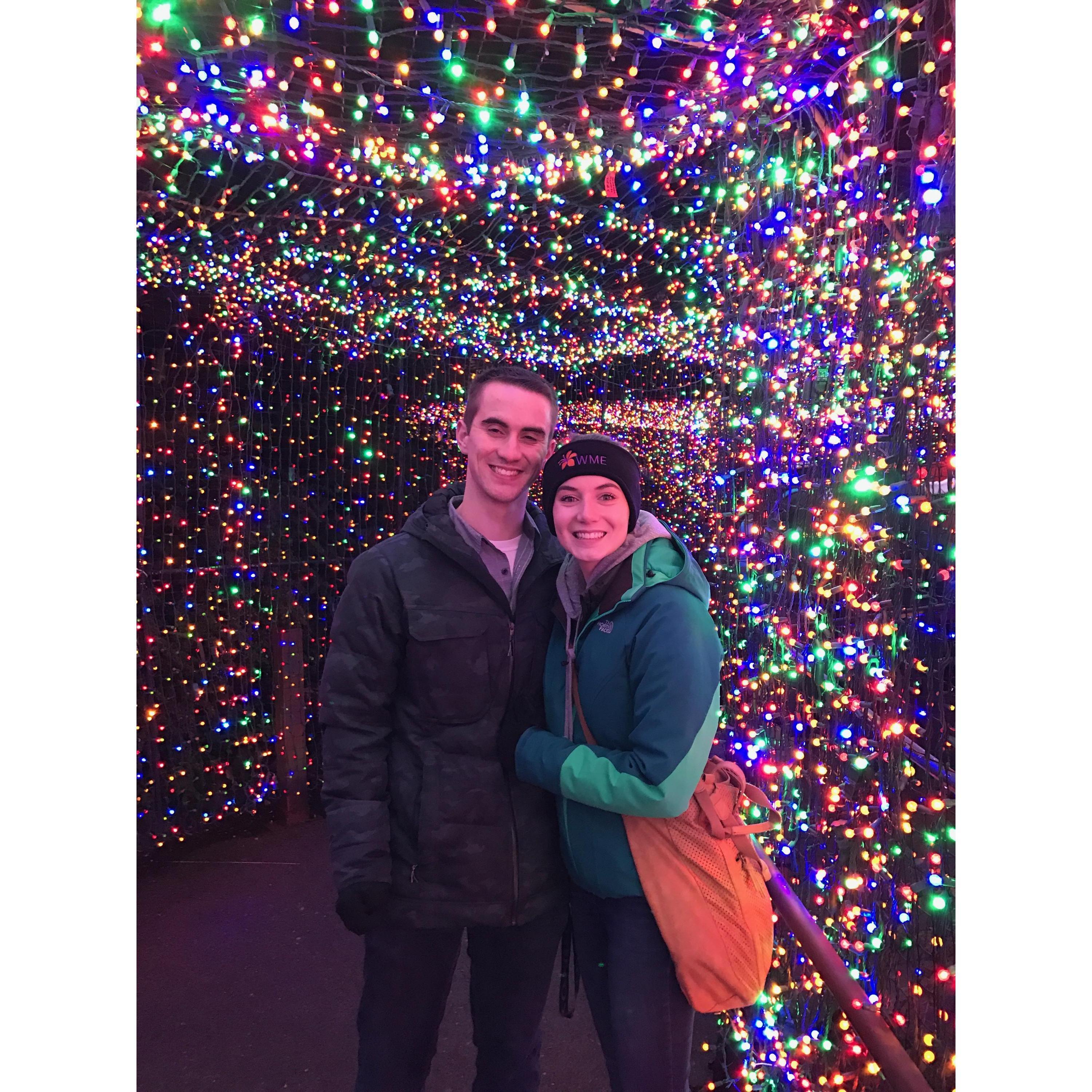 Zoo lights - Dec 2016