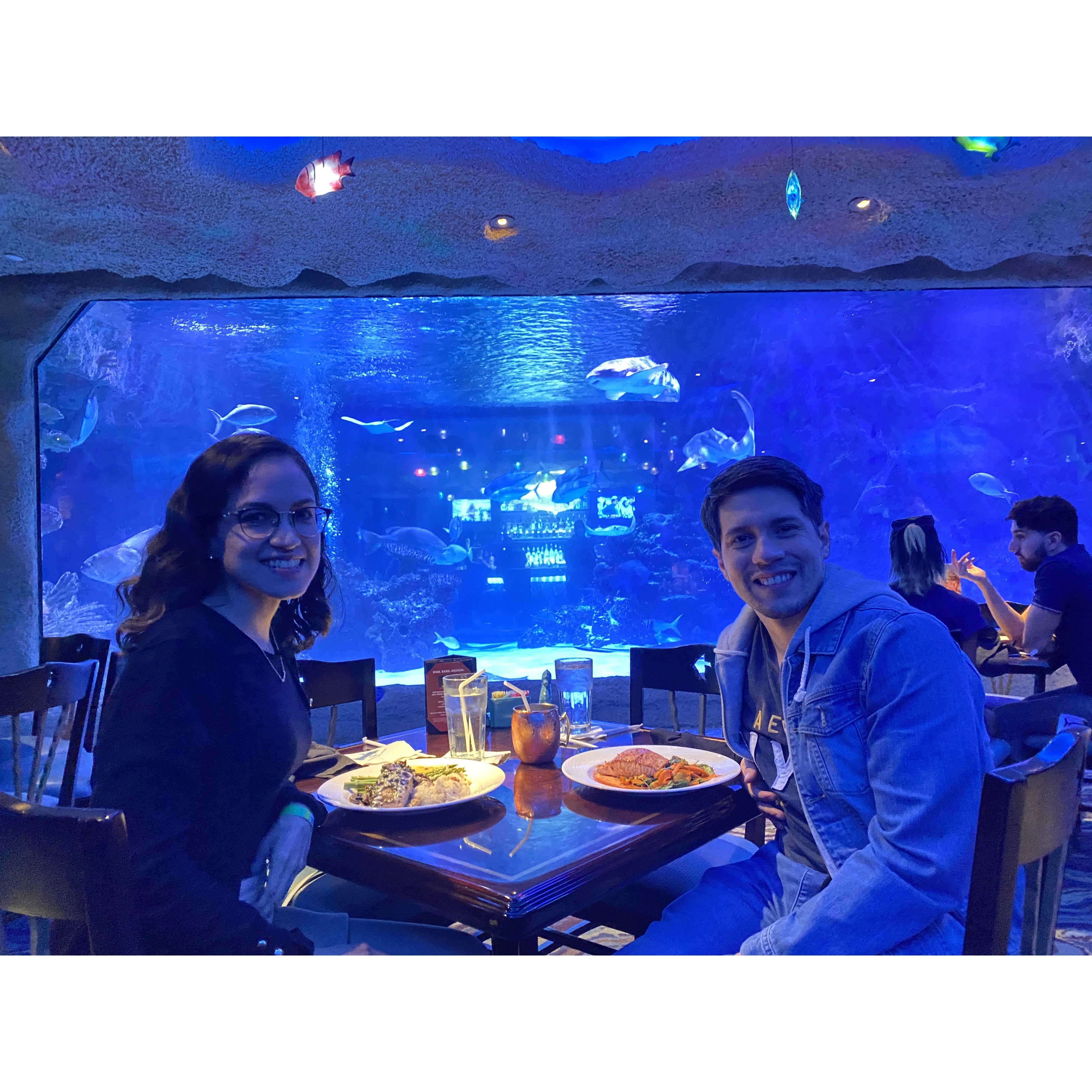 Acuario - Houston