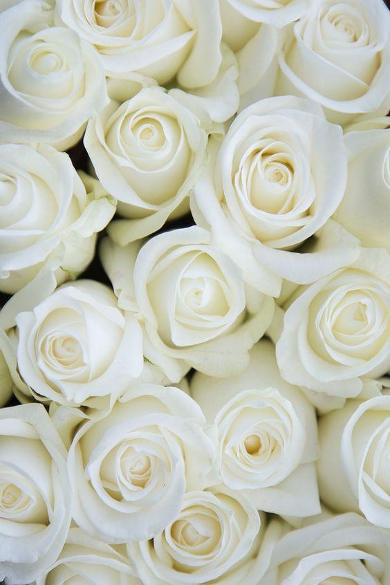 The Wedding Website of Tori White and Tanner Willson