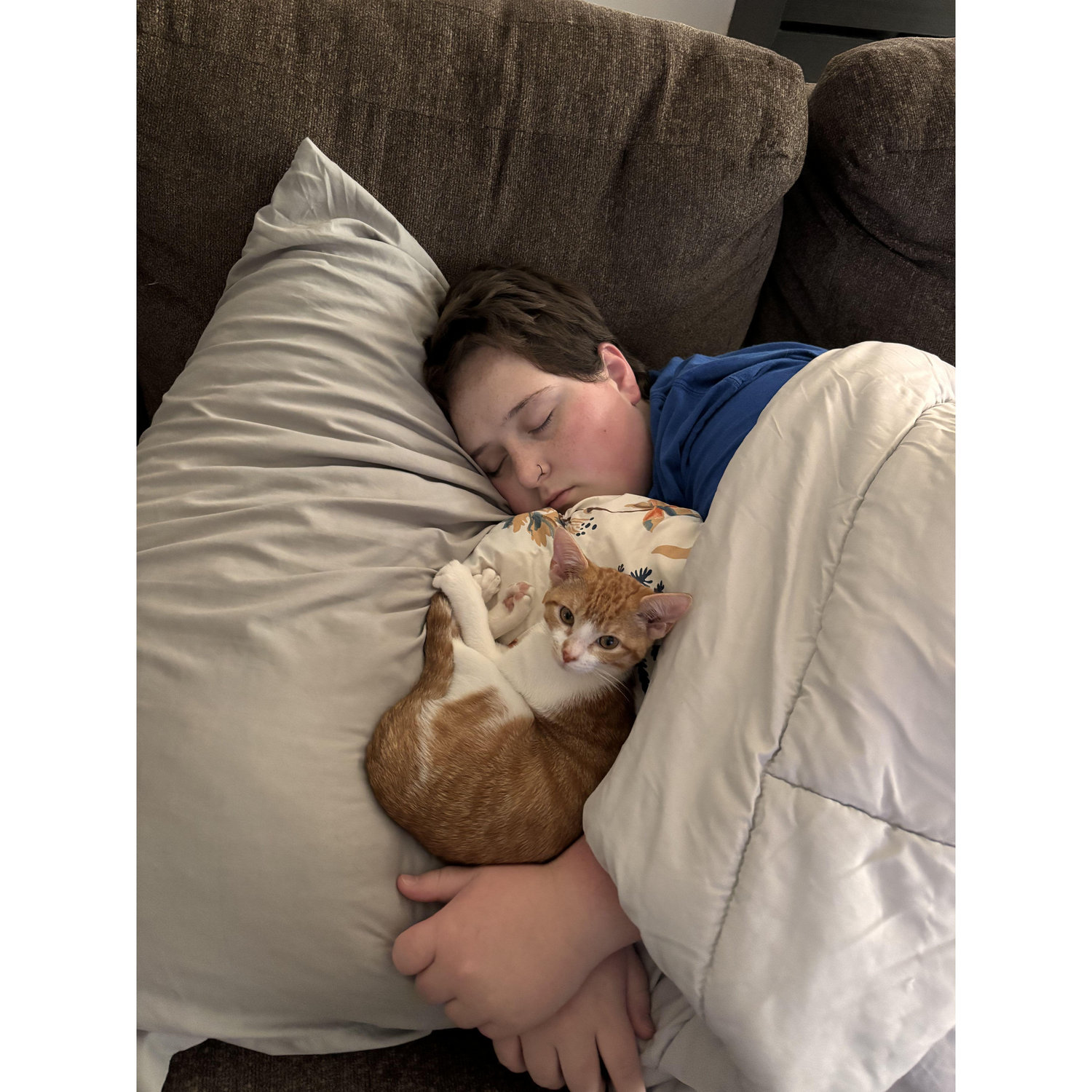Claire had major surgery last year directly after we got Kiki. We took shifts being with Claire at the hospital and checking on the new kitten. Here's Kelly & Kiki Dee having a nap during that time -C