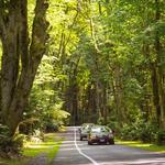 Point Defiance Park