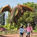 Atlanta Botanical Garden