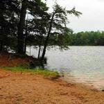 Perch Lake Public Beach